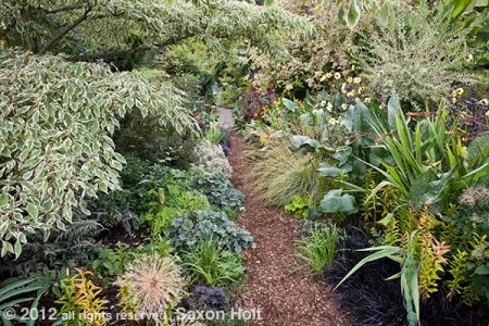O'Byrne garden of foliage textures