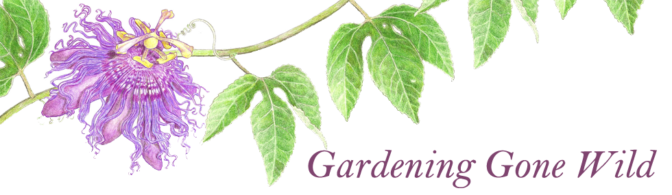 Gardening Gone Wild
