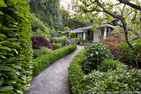 path to home framed by hedge and tree