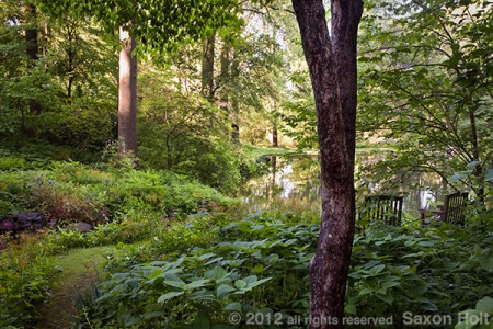 pond in Mt Cuba garden