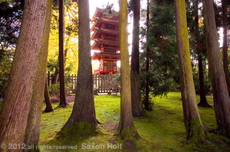 Pagoda through trees, Japanese Tea Garden in Golden Gate Park, San Francisco