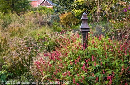 holt_939_010
