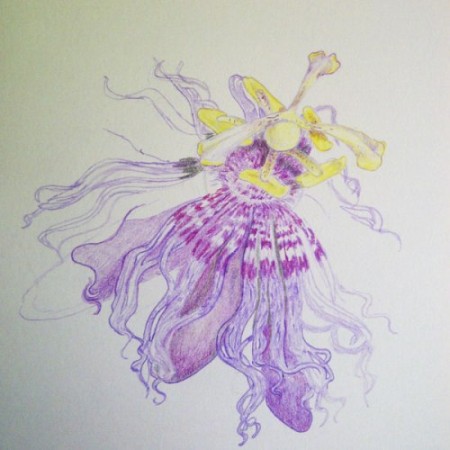 Progress illustration #2