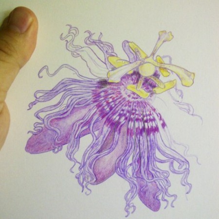 Progress illustration #3