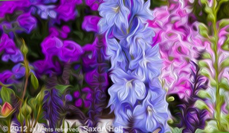 Photoshop filters make this delphinium in a summer flower border into impressionistic blocks of colors and shapes that are more important to the phot than the actual flowers themselves.