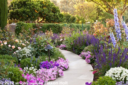 path leading through garden