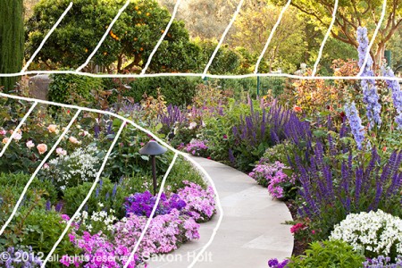 shapes of path leading through garden