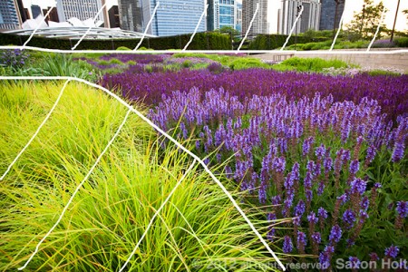 The three parts of this photo  become shapes in a two dimensional composition.