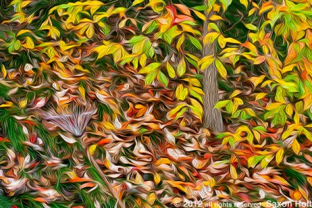 "Leaves Left Unraked" uses PhotoShop filters to manipulate the original photo.