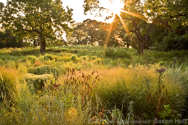 holt_934_031