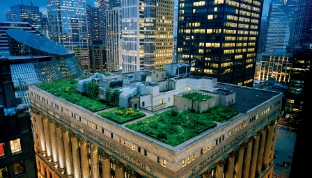 IMAGE IS FOR YOUR ONE-TIME EXCLUSIVE USE ONLY FOR MEDIA PROMOTION OF THE MAY 2009 ISSUE OF NATIONAL GEOGRAPHIC MAGAZINE. NO SALES, NO TRANSFERS.©2009 Diane Cook / Len Jenshel / National GeographicA garland of nature crowns Chicago?s City Hall, softening the hard edges of a town famous for steel and stone?and lowering summer temperatures on the roof. Inspired by a worldwide movement, Mayor Richard Daley has made Chicago North America?s leading ?green roofs? city.