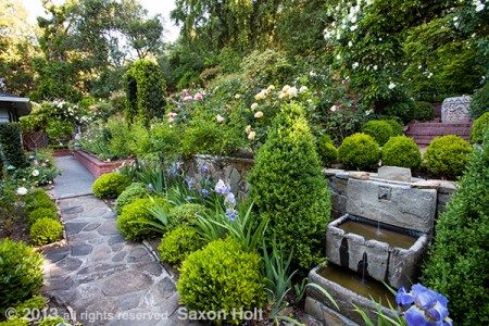 pathway with retaining wall