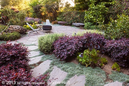 curving pathway into garden