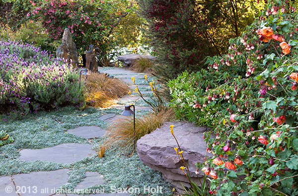 holt_1028_013.CR2