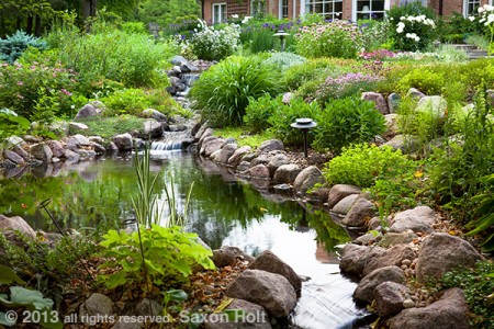 photo of stream and pond in backyard garden