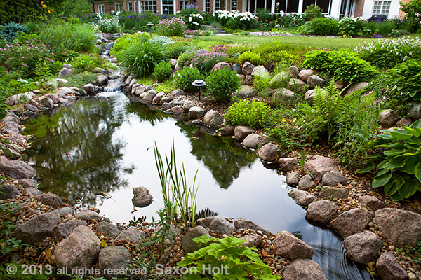 pond in backyard garden