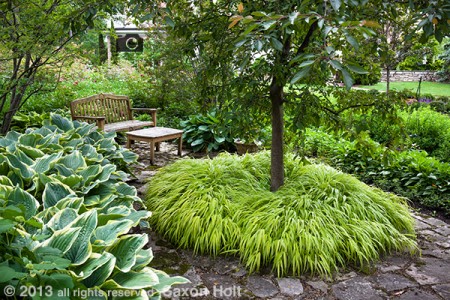 View of bench in garden room surrounded by plants