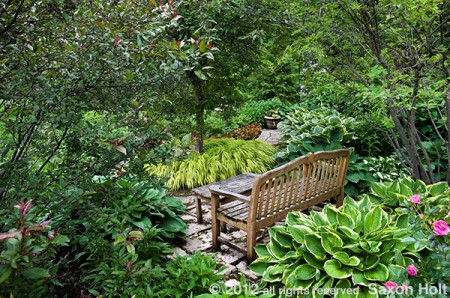 Point of view outside the garden looking in, over the bench.