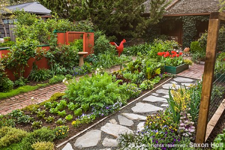 veggie bed framed by pathways