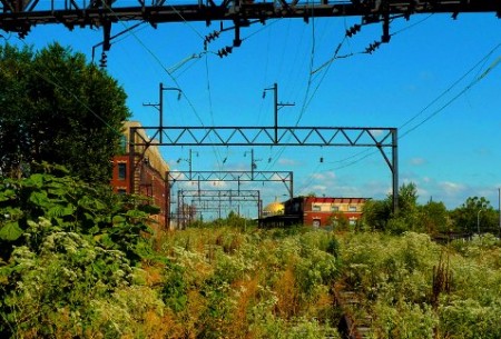 Photo Courtesy of VIADUCTgreene