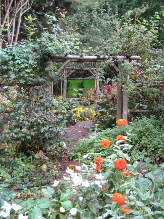 Zinnias in cutting garden Photo Courtesy of Fran Sorin