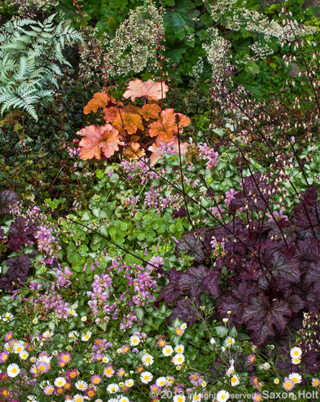 ground cover garden tapestry ground cover garden tapestry