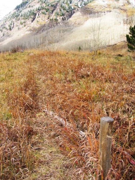 Aspen Colorado