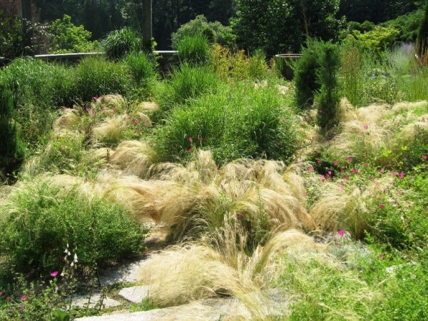 Chanticleer hillside garden