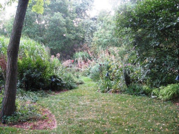 Fran Sorin garden