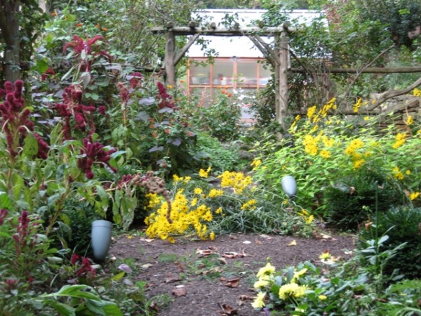 Sorin cutting garden