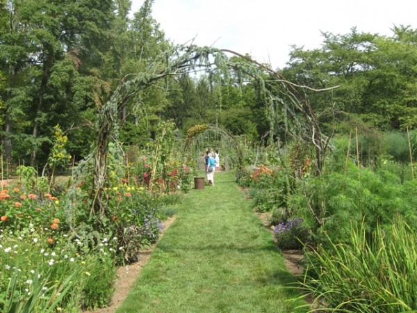 Chanticleer cutting garden