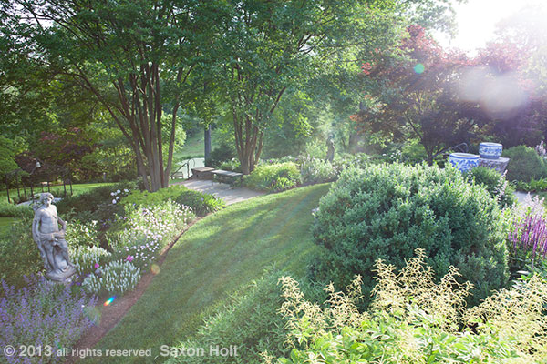 lens flare in garden photo